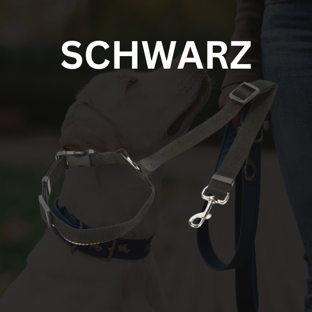 SecurePaws - Autosicherheit für ihren Vierbeiner